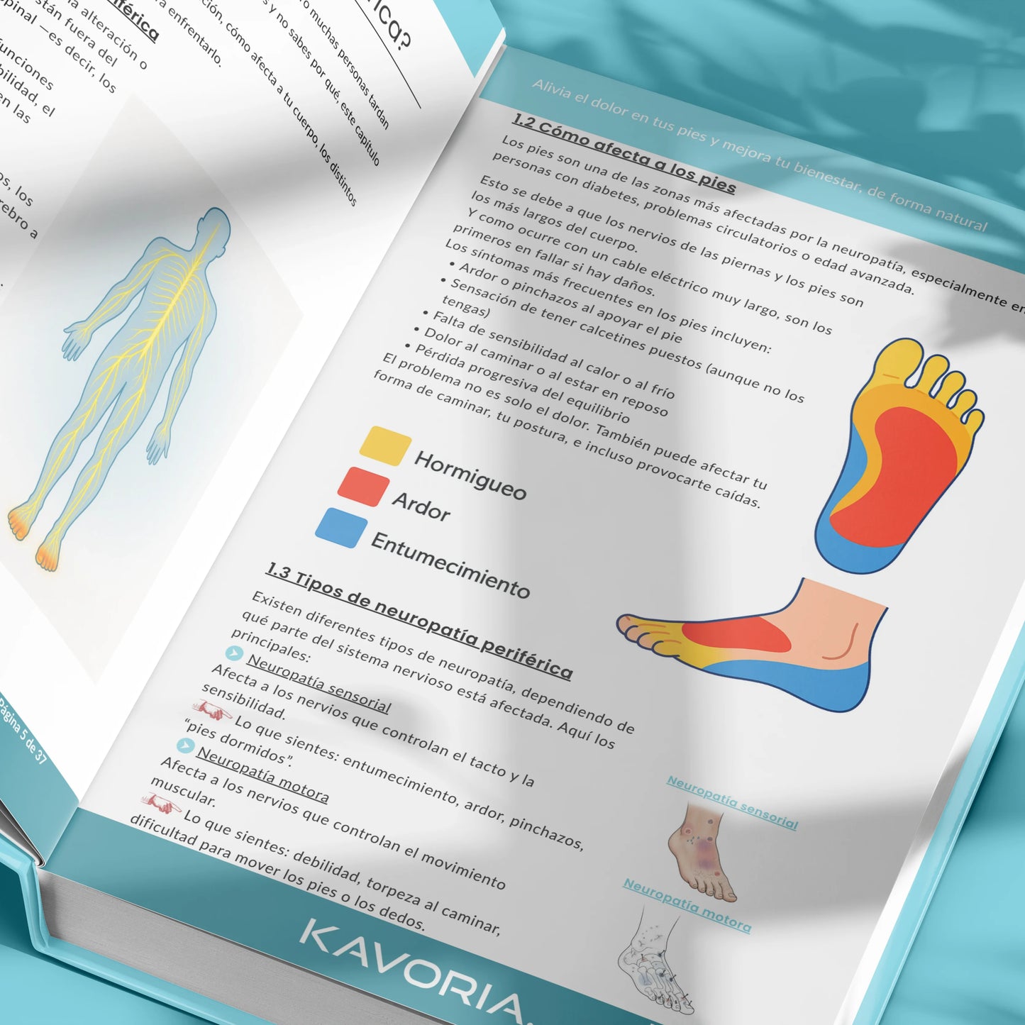 Alivia el dolor en tus pies y mejora tu bienestar, de forma natural - Libro Digital